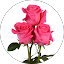 María Lourdes Campos Flores
