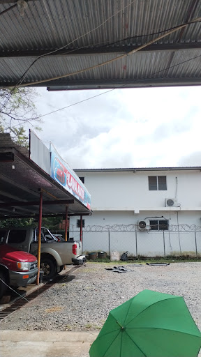 Lava auto el Higo