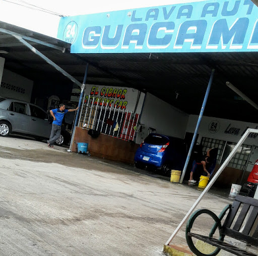 Lavado De Auto Guacamaya
