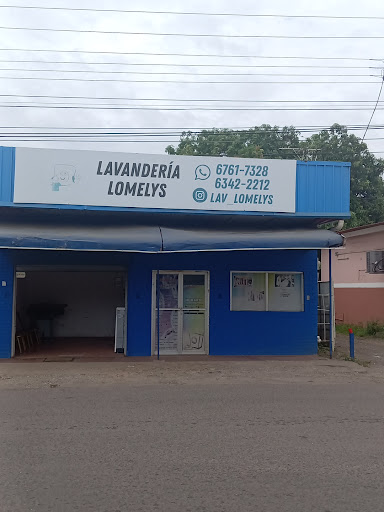Lanvandería Lomelys