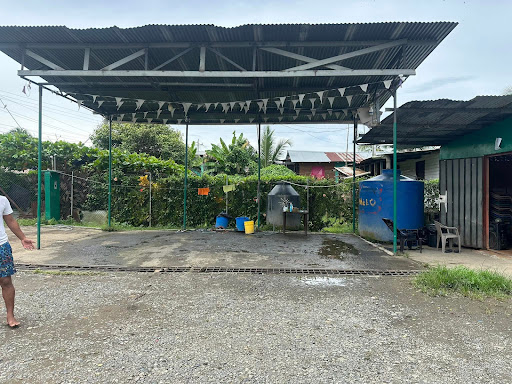 Car Wash The Champion Girl