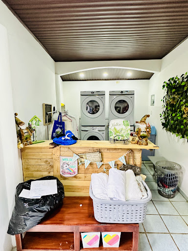Lavamatico Wash & Wear