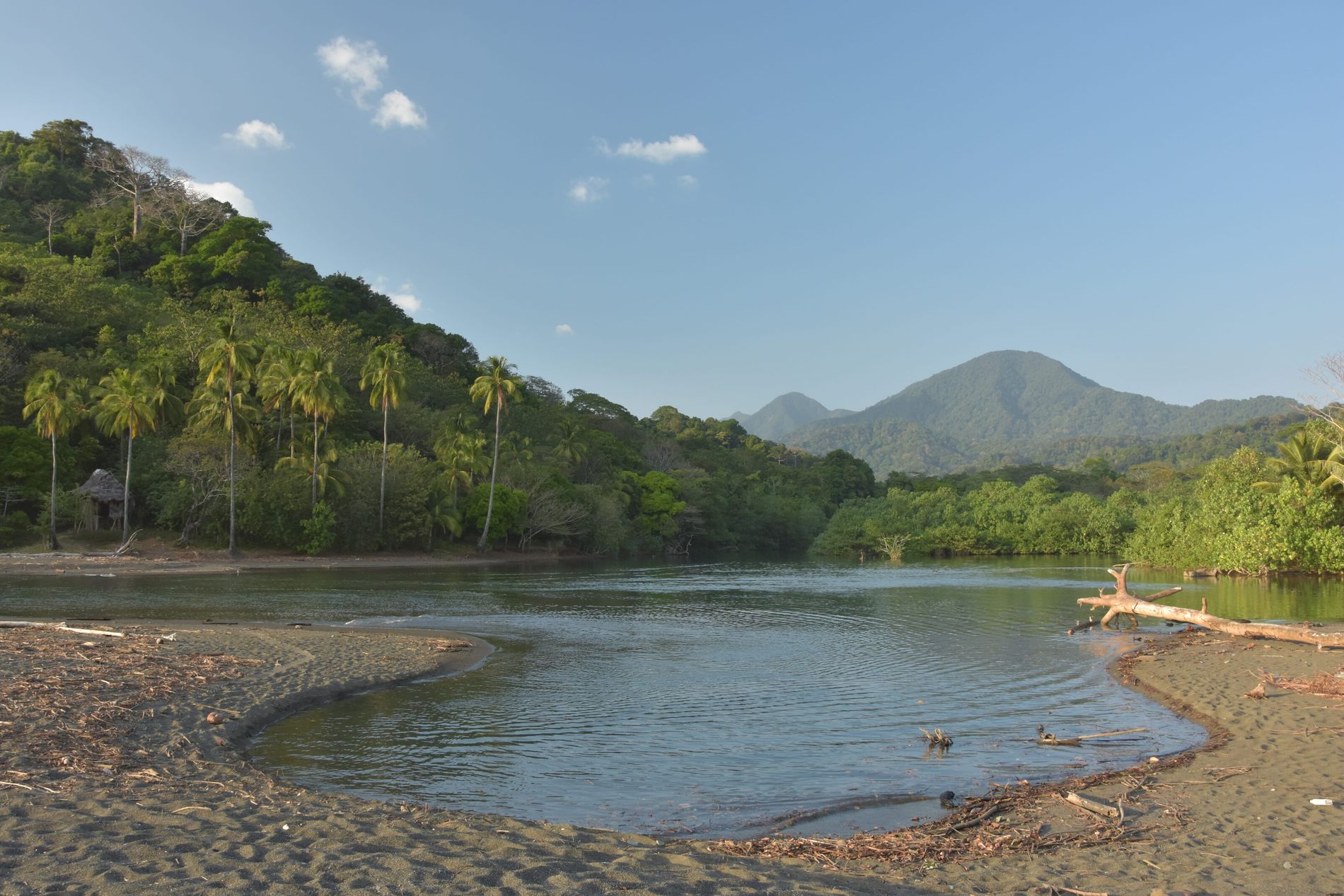 Darién 1 Explora el Darién: Aventura en la Selva Panameña
