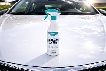 Opinión Lava Auto y Detailing Krlito - Experiencia Real